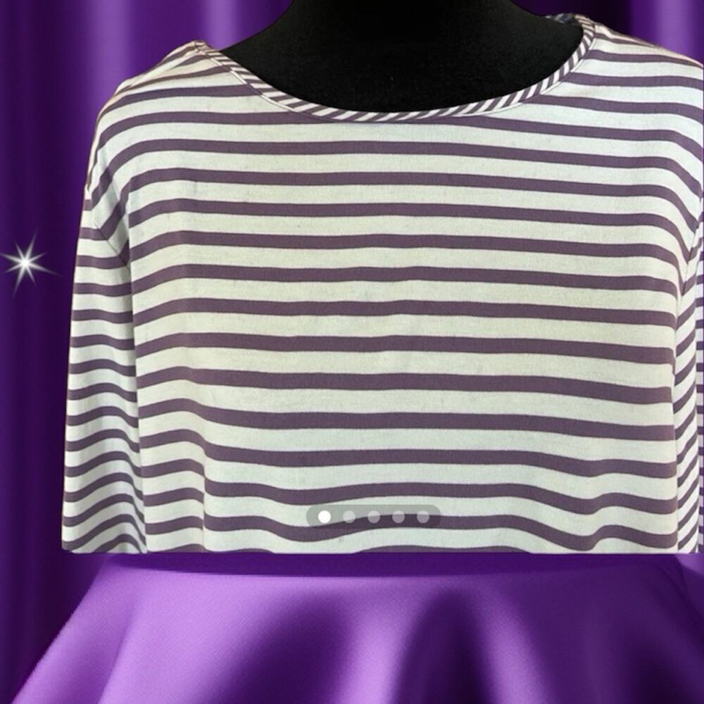 Chico’s size 2 (M 12) striped purple/white top, round neck long sleeve